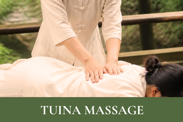 tuina massage service